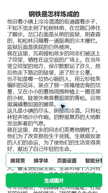 猫制图 iPhone SE 移动端实际操作:检查初始预览